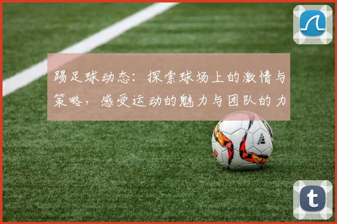 踢足球动态：探索球场上的激情与策略，感受运动的魅力与团队的力量