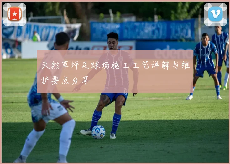 天然草坪足球场施工工艺详解与维护要点分享