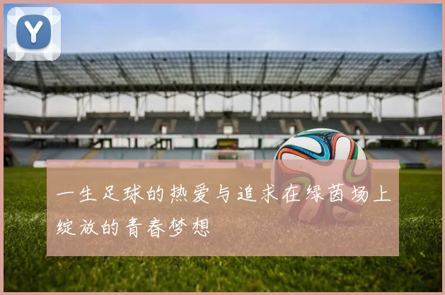 一生足球的热爱与追求在绿茵场上绽放的青春梦想