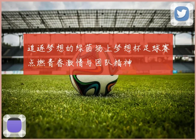 追逐梦想的绿茵场上梦想杯足球赛点燃青春激情与团队精神