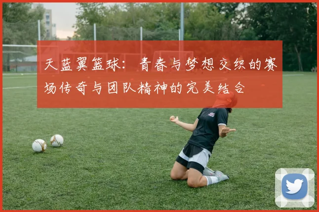 天蓝翼篮球：青春与梦想交织的赛场传奇与团队精神的完美结合