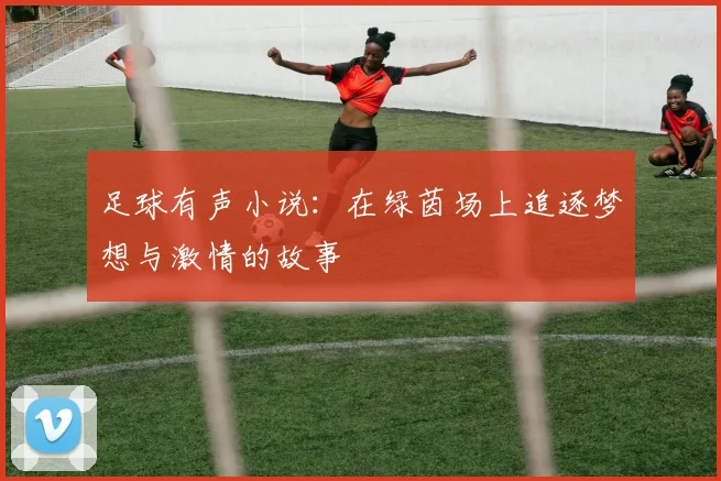 足球有声小说：在绿茵场上追逐梦想与激情的故事