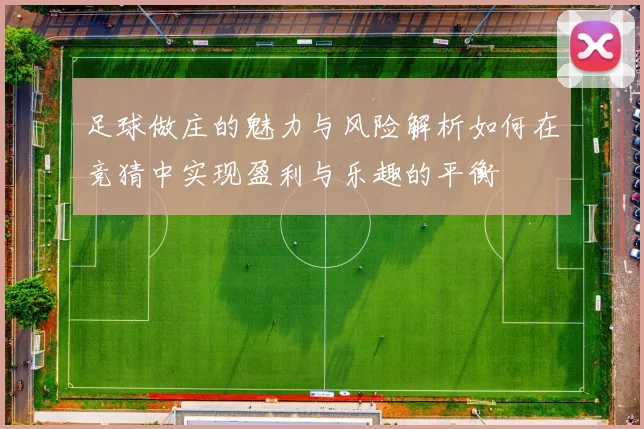 足球做庄的魅力与风险解析如何在竞猜中实现盈利与乐趣的平衡