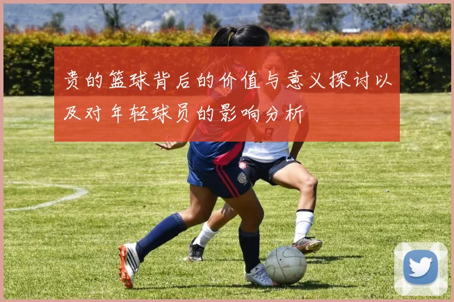 贵的篮球背后的价值与意义探讨以及对年轻球员的影响分析